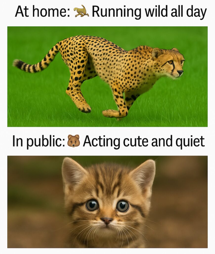 Anak siapa macam ni?…